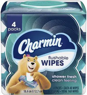 Flushable Wipes, 160 Total Wipes (4 Packs of 40) Flushable Wipes, 160 Total Wipes (4 Packs of 40)