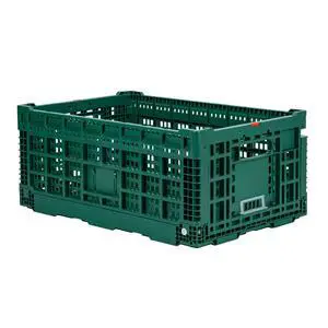 Cater Tek 43 Liter Collapsible Crate 1 Stackable Storage Crate - With Handles Mesh Design Green Plastic Folding Crate Heavy-Duty For Home Garage Or Commercial Use Cater Tek 43 Liter Collapsible Crate 1 Stackable Storage Crate - With Handles Mesh Design Green Plastic Folding Crate Heavy-Duty For Home Garage Or Commercial Use