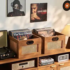 2 Pack Vinyl Record Storage Crates, Rattan Vinyl Record Holder with Handle, TeaC Record Crate for Vinyls Holder up to 75 LP's, Desktop Cube Album Storage for Vinyls Records 2 Pack Vinyl Record Storage Crates, Rattan Vinyl Record Holder with Handle, TeaC Record Crate for Vinyls Holder up to 75 LP's, Desktop Cube Album Storage for Vinyls Records