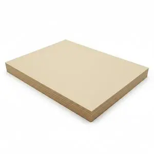 Copy And Print Paper, 11"x17", Tan, 500 Sheets, 67Lb. Vallum Bristol Copy And Print Paper, 11"x17", Tan, 500 Sheets, 67Lb. Vallum Bristol