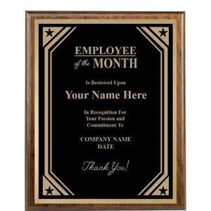 Custom Plaque, 8x10 Recognition Trophy Corporate Award Custom Plaque, 8x10 Recognition Trophy Corporate Award