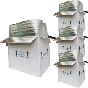 19x12x16'' Insulated Shipping Boxes with Bag Liners, Styrofoam Cold Mailer, Foam Cooler Containers, for Mailing Packaging Frozen Food, Perishable Fruit, and More (4 Pack) 19x12x16'' Insulated Shipping Boxes with Bag Liners, Styrofoam Cold Mailer, Foam Cooler Containers, for Mailing Packaging Frozen Food, Perishable Fruit, and More (4 Pack)