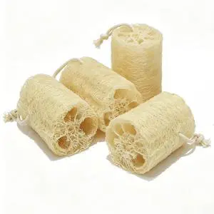 Natural Loofah Exfoliating Body Sponge Scrubber, Plant-Based Organic Loofa Luffa for Men & Women Skin Care Bath Shower Cleaning Back & Fac, Natural Sponges for Dishes (4", 4Pack) Natural Loofah Exfoliating Body Sponge Scrubber, Plant-Based Organic Loofa Luffa for Men & Women Skin Care Bath Shower Cleaning Back & Fac, Natural Sponges for Dishes (4", 4Pack)