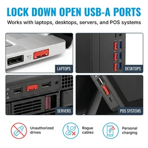USB A Port Blockers 10 Pack, Two Point Zinc Alloy Locks, 1 Key, Red USB A Port Blockers 10 Pack, Two Point Zinc Alloy Locks, 1 Key, Red