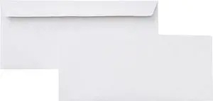 #10 Security-Tinted Self-Seal Business Envelopes for Documents, Privacy, Home & Office, White, 500 Count (Pack of 5) #10 Security-Tinted Self-Seal Business Envelopes for Documents, Privacy, Home & Office, White, 500 Count (Pack of 5)