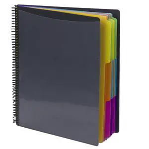 24 Pocket Poly Project Organizer, 1/3-Cut Tab, Letter Size, Gray with Bright Colors (89206), (Pack of 10) 24 Pocket Poly Project Organizer, 1/3-Cut Tab, Letter Size, Gray with Bright Colors (89206), (Pack of 10)