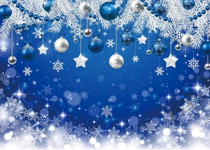 Blue Christmas Backdrop Blue Merry Christmas Snowflake Background 10x8ft Blue Winter Xmas Banner,Glitter New Year Holiday Party Decoration Banner, Baby Shower Birthday Photo Booth Blue Christmas Backdrop Blue Merry Christmas Snowflake Background 10x8ft Blue Winter Xmas Banner,Glitter New Year Holiday Party Decoration Banner, Baby Shower Birthday Photo Booth