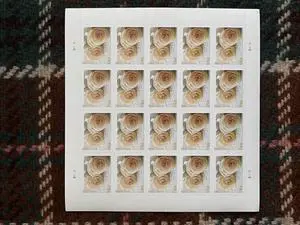 US Stamps 2011 Wedding Roses 5 Sheets of 20 US Stamps 2011 Wedding Roses 5 Sheets of 20