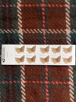 US Stamps 2006 Common Buckeye 5 Sheets of 10 US Stamps 2006 Common Buckeye 5 Sheets of 10