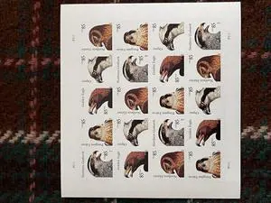 US Stamps 2012 Birds of Prey 5 Sheets of 20 US Stamps 2012 Birds of Prey 5 Sheets of 20