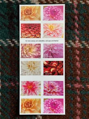 US Stamps 2025 Dahlias 5 Sheets of 20 US Stamps 2025 Dahlias 5 Sheets of 20