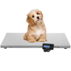 Veterinary Scale, 440LB Heavy Duty Digital Livestock Platform Scale with Power Adapter for Vet Animal Pet Cat Dog Cattle Goat, Small Livestock Scale Stainless Steel Platter Veterinary Scale, 440LB Heavy Duty Digital Livestock Platform Scale with Power Adapter for Vet Animal Pet Cat Dog Cattle Goat, Small Livestock Scale Stainless Steel Platter