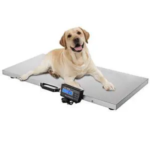 Veterinary Scale, 1100LB Heavy Duty Digital Livestock Platform Scale with Power Adapter for Vet Animal Pet Cat Dog Cattle Goat, Stainless Steel Platter Livestock Scale Veterinary Scale, 1100LB Heavy Duty Digital Livestock Platform Scale with Power Adapter for Vet Animal Pet Cat Dog Cattle Goat, Stainless Steel Platter Livestock Scale