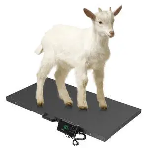 1100Lbs x 0.2Lbs Postal Digital Shipping Livestock Scale, Electronic Stainless Steel Platform Heavy Duty Vet Animal Floor Scale,Dog Puppy Pig Goat Sheep Scale, Black 1100Lbs x 0.2Lbs Postal Digital Shipping Livestock Scale, Electronic Stainless Steel Platform Heavy Duty Vet Animal Floor Scale,Dog Puppy Pig Goat Sheep Scale, Black