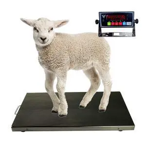 PEC Livestock Animal Scale/Farm Animal Scales for Weighing Small to Medium Sized Animals, Lamb, Goat, Sheep, Pigs, hogs, Donkey, Calf, Digital Indicator Included, Capacity 700lbs (38 x 20) PEC Livestock Animal Scale/Farm Animal Scales for Weighing Small to Medium Sized Animals, Lamb, Goat, Sheep, Pigs, hogs, Donkey, Calf, Digital Indicator Included, Capacity 700lbs (38 x 20)