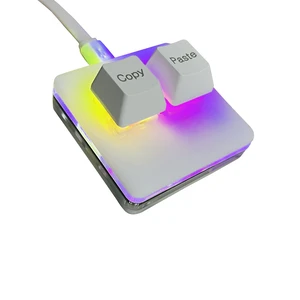 Copy and Paste 2-Key Keyboard SAYO OSU Keypad Hotswap One Handed Mechanical Gaming Keyboard Cherry Switch RGB Backlit Mini USB Keypad for macros or Rhythm Games Copy and Paste 2-Key Keyboard SAYO OSU Keypad Hotswap One Handed Mechanical Gaming Keyboard Cherry Switch RGB Backlit Mini USB Keypad for macros or Rhythm Games