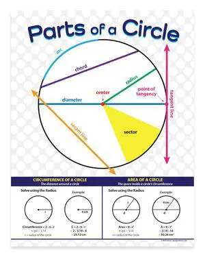 ZOCO Parts of a Circle Posters (20-Pack) Geometry Math Reference Chart, Laminated 17 x 22 for Middle & High School Classrooms ZOCO Parts of a Circle Posters (20-Pack) Geometry Math Reference Chart, Laminated 17 x 22 for Middle & High School Classrooms