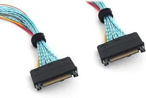 Micro SATA Cables SFF-8639 68 Pin U.2 Male to Male Cable - 12 Inch: Compatible with SFF-8639 NVMe SSD Adapter and NVMe SSD to PCI-e Adapter Micro SATA Cables SFF-8639 68 Pin U.2 Male to Male Cable - 12 Inch: Compatible with SFF-8639 NVMe SSD Adapter and NVMe SSD to PCI-e Adapter