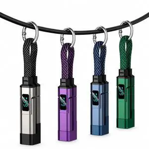 4-in-1 Digital Display Keychain Charging Cable, 65W USB C Fast Charging Short Cord, Portable Multi Charger Key Ring for iPhone, iPad, Samsung, USB C Devices, Tablets, Laptops (4Pcs) 4-in-1 Digital Display Keychain Charging Cable, 65W USB C Fast Charging Short Cord, Portable Multi Charger Key Ring for iPhone, iPad, Samsung, USB C Devices, Tablets, Laptops (4Pcs)