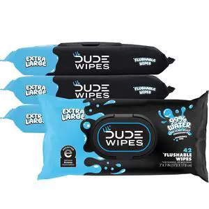 LiL' Flushable Potty Training Water Wipes, Unscented, 168 Count LiL' Flushable Potty Training Water Wipes, Unscented, 168 Count