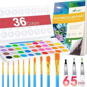65 Pieces Watercolor Paint Set for Adults Artists, Beginners 65 Pieces Watercolor Paint Set for Adults Artists, Beginners