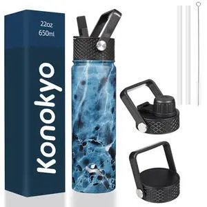 22 oz Insulated Stainless Steel Water Bottle with Straw Lid 22 oz Insulated Stainless Steel Water Bottle with Straw Lid