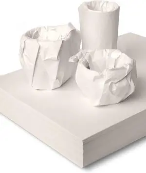 12 * 12 inch Packing Paper for Moving 200 Sheets Protecting Fragile China and Glasses,Small Wrapping Paper for Shipping and Moving Box Filler 12 * 12 inch Packing Paper for Moving 200 Sheets Protecting Fragile China and Glasses,Small Wrapping Paper for Shipping and Moving Box Filler
