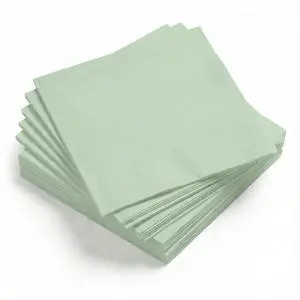 100 Pack Cocktail Napkins, 5x5 Inches Disposable Paper Napkins for Party Anniversary Wedding Birthday Bridal Baby Shower (100,Sage Green 100 Pack Cocktail Napkins, 5x5 Inches Disposable Paper Napkins for Party Anniversary Wedding Birthday Bridal Baby Shower (100,Sage Green