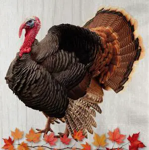 75-Pack 2-Ply Disposable Thanksgiving Napkins - Harvest Turkey Design, Autumn Fall Party Supplies, Durable Dinner Size 6.5" x 6.5" 75-Pack 2-Ply Disposable Thanksgiving Napkins - Harvest Turkey Design, Autumn Fall Party Supplies, Durable Dinner Size 6.5" x 6.5"