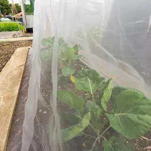10 x 13ft Mosquito Netting Garden Insect Bug Mesh Netting Garden Patio Mesh Screen Net Fly Insect Bug Bird Net Barrier for Patio Balcony Porch Gazebo Vegetables Fruits Plant Protection(White) 10 x 13ft Mosquito Netting Garden Insect Bug Mesh Netting Garden Patio Mesh Screen Net Fly Insect Bug Bird Net Barrier for Patio Balcony Porch Gazebo Vegetables Fruits Plant Protection(White)
