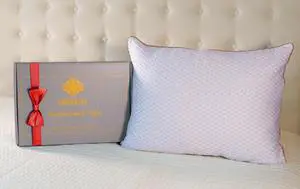 Memory Foam Pillow - Adjustable Loft, Cooling & Cozy Dual-Sided Cover, Perfect for Side, Back & Stomach Sleepers (1) Memory Foam Pillow - Adjustable Loft, Cooling & Cozy Dual-Sided Cover, Perfect for Side, Back & Stomach Sleepers (1)