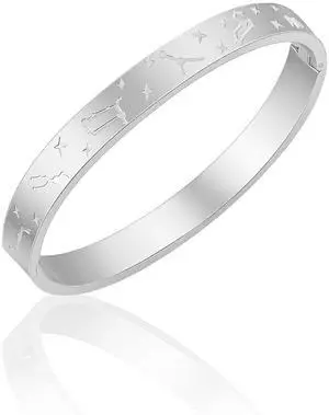 JINHUI 18K Gold Plated Bracelets Bangle for Women Engraved Dainty 12 Constellation Astrology Gold Bangle Non Tarnish Stainless Steel Bracelet Jewelry Gifts & Women (Slver) JINHUI 18K Gold Plated Bracelets Bangle for Women Engraved Dainty 12 Constellation Astrology Gold Bangle Non Tarnish Stainless Steel Bracelet Jewelry Gifts & Women (Slver)
