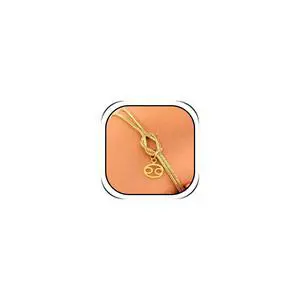 Zodiac Astrology Snake Chain Bracelet for Women Gold Knot Charm Minimalist Bracelet Elegant Constellation Jewelry Gift Dainty Fashion Wrist Accessories Zodiac Astrology Snake Chain Bracelet for Women Gold Knot Charm Minimalist Bracelet Elegant Constellation Jewelry Gift Dainty Fashion Wrist Accessories