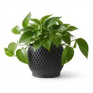 Plant Pots, Modern 3D Printed Honeycomb Planters for Indoor Plants, 4.7 Inch Matte Black Decorative Flower Pot for Office Desktop, Bookshelf & Home Decor, Lightweight & Durable. Plant Pots, Modern 3D Printed Honeycomb Planters for Indoor Plants, 4.7 Inch Matte Black Decorative Flower Pot for Office Desktop, Bookshelf & Home Decor, Lightweight & Durable.