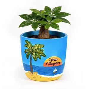 Retirement Gift for Women, 5" Succulent Pots Retirement Planter | Resin Retirement Garden Decor, Gardening Gifts for Gardeners Classy Retirement Gifts for Women, Flower Pots for Indoor Plants Retirement Gift for Women, 5" Succulent Pots Retirement Planter | Resin Retirement Garden Decor, Gardening Gifts for Gardeners Classy Retirement Gifts for Women, Flower Pots for Indoor Plants