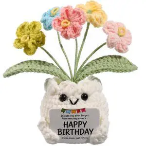 Crochet Forget Me Not Flower Pot Birthday Gifts for Women | Happy Birthday Message Card, Colorful Handmade Keepsake, Gift for Her, Mom, Best Friend, Sister, Coworker, PET Display Box Crochet Forget Me Not Flower Pot Birthday Gifts for Women | Happy Birthday Message Card, Colorful Handmade Keepsake, Gift for Her, Mom, Best Friend, Sister, Coworker, PET Display Box