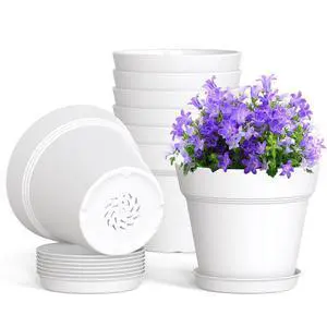 4 Inch Plastic Plant Pots with Drainage Holes and Trays 8 Pack Small Nursery Pots for Indoor & Outdoor House Plants and Flowers, Seedling Starter Planters, White 4 Inch Plastic Plant Pots with Drainage Holes and Trays 8 Pack Small Nursery Pots for Indoor & Outdoor House Plants and Flowers, Seedling Starter Planters, White