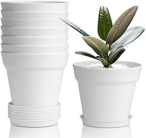Small Plant Pots 4 Inch 8 Pack, Plastic Indoor Flower Pots Saucer White | Succulent cactus herbs, Windowsill seedling starters, Desk office shelf, Mini compact lightweight Small Plant Pots 4 Inch 8 Pack, Plastic Indoor Flower Pots Saucer White | Succulent cactus herbs, Windowsill seedling starters, Desk office shelf, Mini compact lightweight
