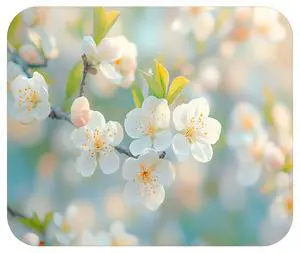 Spring Season Mouse Pad Mat Mousepad for Desk Computer Laptop PC Gaming Home or Office Gift (Bloom MP86) Spring Season Mouse Pad Mat Mousepad for Desk Computer Laptop PC Gaming Home or Office Gift (Bloom MP86)