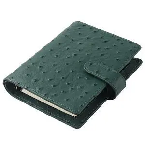Budget Binder,Leather Rings Planner, 6-Ring Pocket Organizer Notebook Cover (Ostrich-Dark Green) Budget Binder,Leather Rings Planner, 6-Ring Pocket Organizer Notebook Cover (Ostrich-Dark Green)