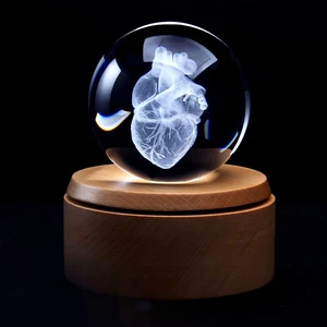 3D Human Heart Anatomical Model Paperweight(Laser Etched) in Crystal Glass Ball Science Gift (Included LED Base) 3D Human Heart Anatomical Model Paperweight(Laser Etched) in Crystal Glass Ball Science Gift (Included LED Base)
