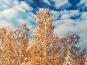 11" X 14" Cold Press Watercolor Fine Art Inkjet Paper - 50 Sheets 11" X 14" Cold Press Watercolor Fine Art Inkjet Paper - 50 Sheets