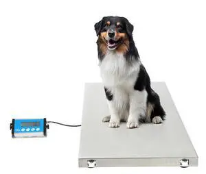 Alpine ADIME904-04 Stainless-Steel Veterinary Scale, 44.09inH x 20.47inW x 1.77inD, White Alpine ADIME904-04 Stainless-Steel Veterinary Scale, 44.09inH x 20.47inW x 1.77inD, White