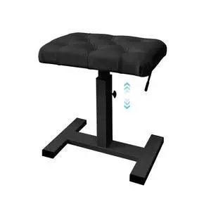 Height Adjustable Keyboard Bench Hydraulic Lifting Tufted | Piano Bench 19.3" x 12.2" PU Leather Seat Keyboard Chair Heavy Duty Piano Stool with High-Density Sponge Alloy Base Height Adjustable Keyboard Bench Hydraulic Lifting Tufted | Piano Bench 19.3" x 12.2" PU Leather Seat Keyboard Chair Heavy Duty Piano Stool with High-Density Sponge Alloy Base