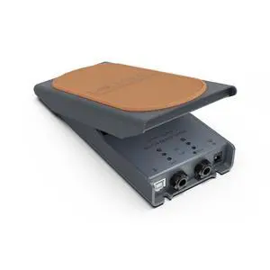 Dual Expression Pedal Dual Expression Pedal