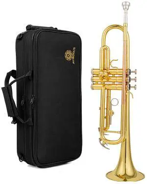 bb trumpet 6331 brass b flat trumpet for beginners and intermediate players copper leadpipe gold lacquer finish stainless steel valves phosphorus hard case and accessories included bb trumpet 6331 brass b flat trumpet for beginners and intermediate players copper leadpipe gold lacquer finish stainless steel valves phosphorus hard case and accessories included