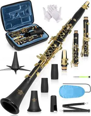 B Flat Concert Clarinet: Precision Tone Hole Design for Stable Intonation, Durable Gold-Plated Keys, Including Leather Hard Case, Barrel, Stand, Full Cleaning Kit (Aria-AG) B Flat Concert Clarinet: Precision Tone Hole Design for Stable Intonation, Durable Gold-Plated Keys, Including Leather Hard Case, Barrel, Stand, Full Cleaning Kit (Aria-AG)