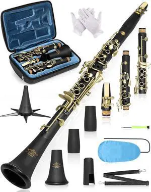 B Flat Concert Clarinet: Precision Tone Hole Design for Stable Intonation, Durable Ancient Bronze-Style Keys, Including Leather Hard Case, Barrel, Stand, Full Cleaning Kit (Aria-ABV) B Flat Concert Clarinet: Precision Tone Hole Design for Stable Intonation, Durable Ancient Bronze-Style Keys, Including Leather Hard Case, Barrel, Stand, Full Cleaning Kit (Aria-ABV)