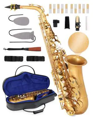 Handcrafted E-Flat Alto Saxophone: Matte Gold Brass Body with Warm, Rich Tone, Secure Air Seal, Smooth 23-Key System, Includes Reeds Premium Leather Case & Saxophone Cleaning Kit (CH-EG) Handcrafted E-Flat Alto Saxophone: Matte Gold Brass Body with Warm, Rich Tone, Secure Air Seal, Smooth 23-Key System, Includes Reeds Premium Leather Case & Saxophone Cleaning Kit (CH-EG)