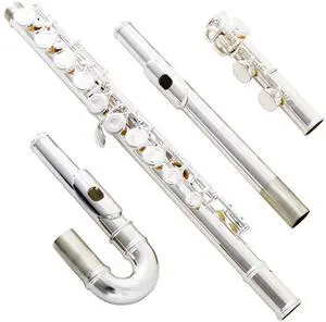 Silver Plated C Flute Closed Hole 16 Keys Flute Instrument with Curved Head Joint Mouthpiece Replacement,Cleaning Kit,Stand,Carrying Case,Gloves,Tuning Rod for Beginners Kids Students Silver Plated C Flute Closed Hole 16 Keys Flute Instrument with Curved Head Joint Mouthpiece Replacement,Cleaning Kit,Stand,Carrying Case,Gloves,Tuning Rod for Beginners Kids Students